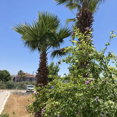 Olimpia Hotel *